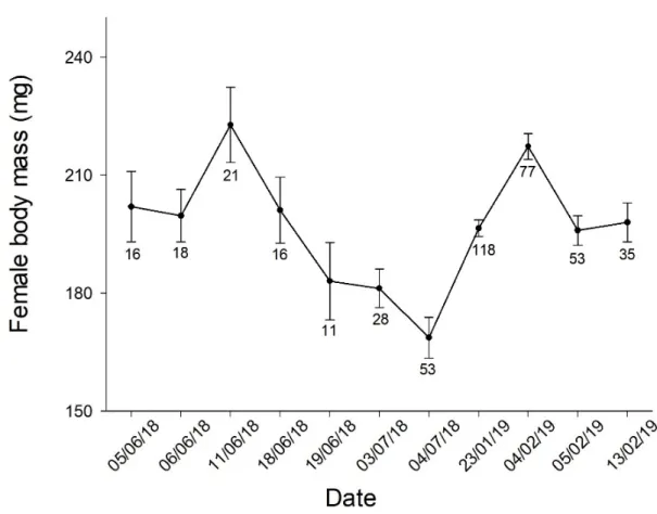Figure  S2.  Survey  of  body  mass  measured  one  day  after  emergence  of  adult  females