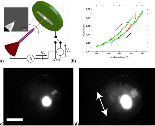 Figure 1. (a) Schematic diagram of the UHV system. Inset: SEM image of nanowire NW1 (φ = 30 nm, 