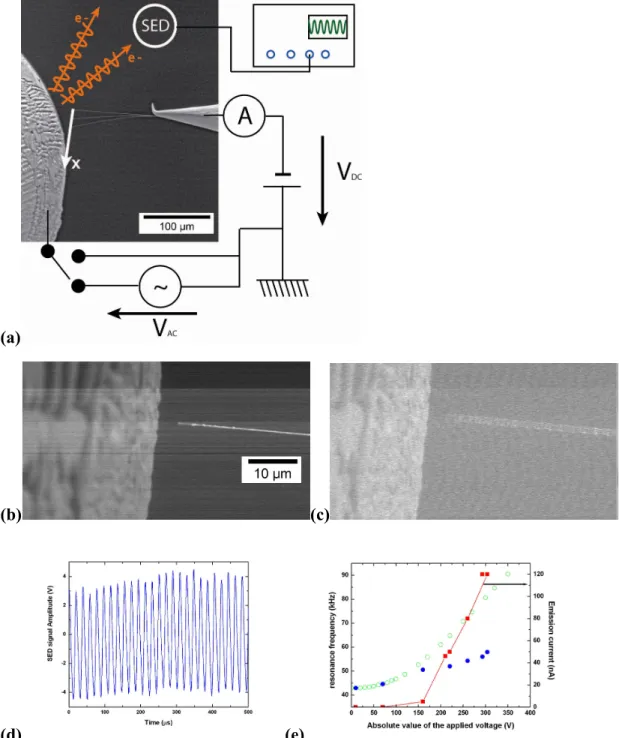 Figure 2. (a) Schematic diagram of the SEM system with superimposed, SEM images of NW6 (φ = 400 