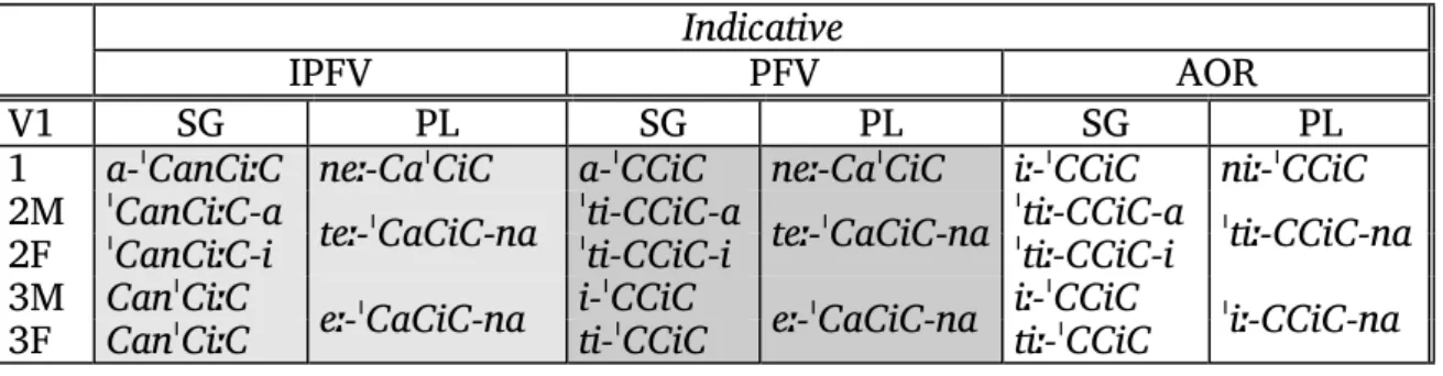Table 2 below provides the paradigm of disyllabic V1 verbs. At the base form, this  verb type inserts the IPFV marker  -an- after the first consonant of the stem in the  singular: -C1anC2iːC3-