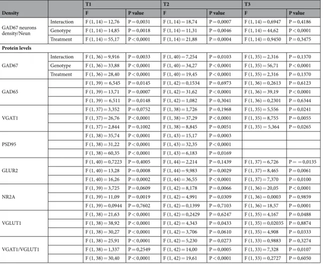 Table 1.  Treatments effects in mBACtgDyrk1a hippocampus.