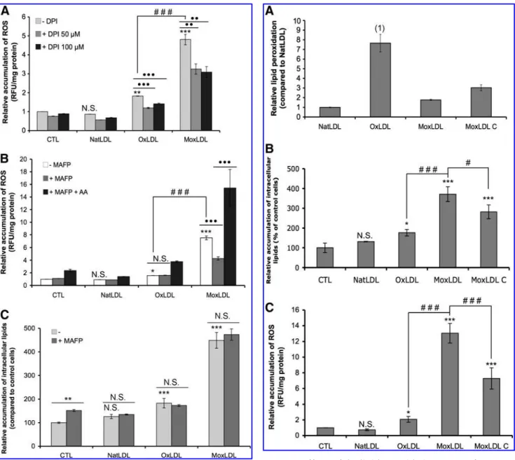 FIG. 8. Effects of the lipid peroxidation extent of LDLs on foam cell formation and on intracellular ROS  accumula-tion