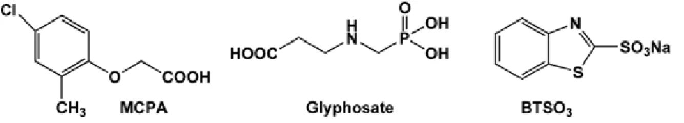 Figure 1  Chemical structures of 4-chloro-2-methylphenoxyacetic acid (MCPA), N-phosphonomethylglycine  (glyphosate, PMG) and 2-benzothiazolesulphonate (BTSO 3 ).