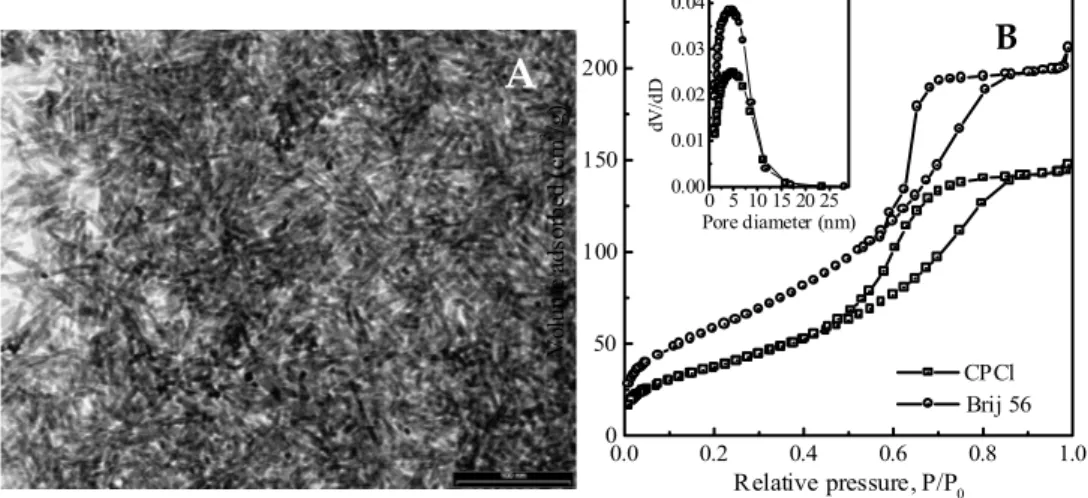 Fig. 8. TEM image (A) and N 2  adsorption–desorption isotherms (B) of mesoporous  crystalline iron oxide materials synthesized with CPCl and Brij 56, and the correspond- 