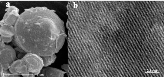Fig. 9. SEM (a) and TEM (b) images of the mesoporous carbon CMI-8 