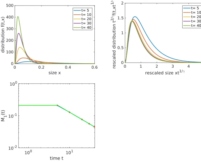 Figure 6: Illustration of the protocol - Example 1. Upper left: Illustration of an example of size distribution profiles for γ = 1.3, α = 1, and κ is a two-peaked Gaussian kernel and the initial condition is a decreasing exponential