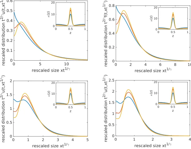 Figure 8: Stationary profile for different values of γ and α = 1. Upper left: γ = 0.8, upper right: γ = 1, bottom left: γ = 1.5, bottom right: γ = 2.