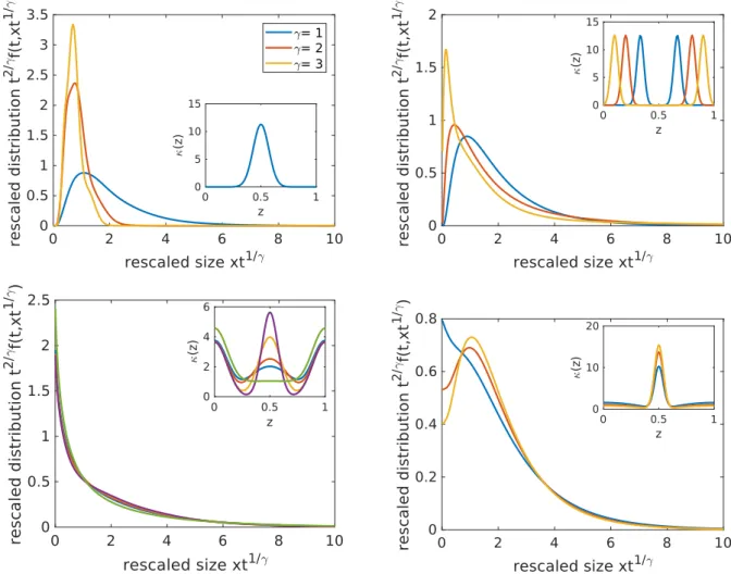 Figure 9: Influence of the parameters γ and κ on the stationary length distribution profile