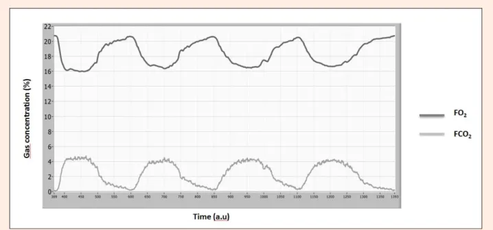 Figure 2. Example of respiratory signals seen on the computer screen once the mask has been fitted on the rat’s snout
