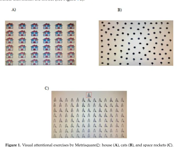 Figure 1. Visual attentional exercises by Metrisquare©: house (A), cats (B), and space rockets (C)