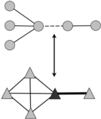 Fig. 1. The weighted line graph transformation emphasises the role of edges in the network while properly accounting for the degree heterogeneity present in the network