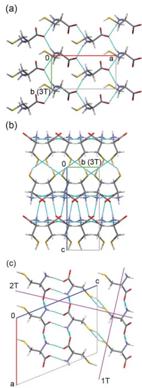Fig. 2 The fragments of the crystal structure of DL -cysteine-I at ambient temperature and pressure [(a) parallel to ab plane, (b) parallel to bc plane, and (c) parallel to ac plane] with principal axes of linear strain ellipsoid on cooling from 300 K down