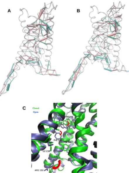Figure 4.  Rearrangement of contacts in A2aR. (A) Differences between side chain interactions in A2aR  and A2aR:Mini-Gs, revealed by analysis of Protein Structure Networks (PSNs)