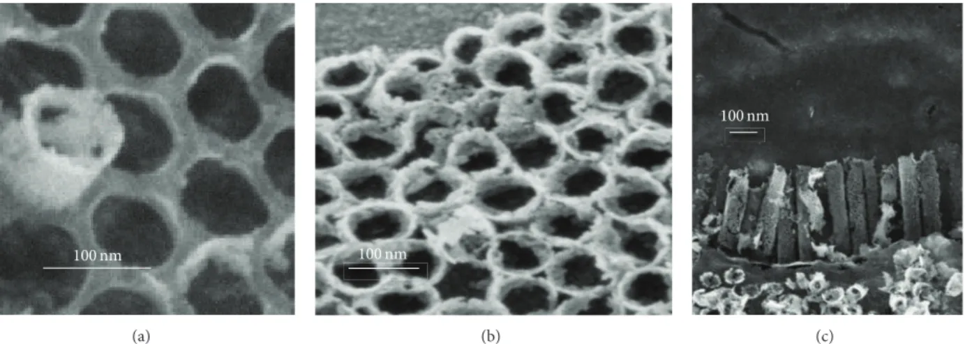 Figure 3: FESEM (secondary electron collected with the in-lens detector) micrographs of the TiO 2 nanotanks embedded in AAO template.