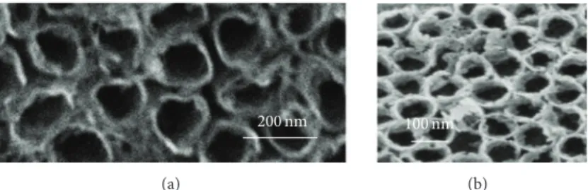 Figure 9: FESEM (secondary electron collected with the in-lens detector) micrographs of the TiO 2 comparison: (a) image of conventional TiO 2 nanotubes layers obtained by electrochemical anodization [11], (b) TiO 2 nanotanks embedded in AAO template.