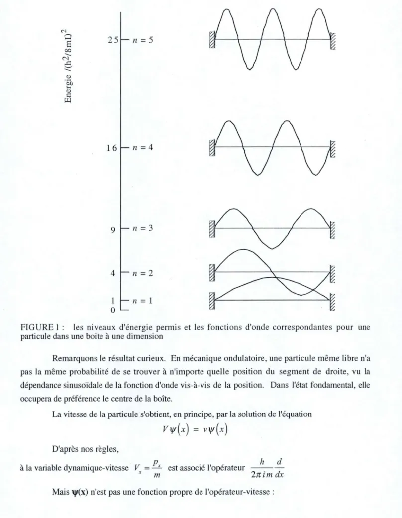 FIGURE 1 :  les  niveaux  d'é ne rgie  permi s  et  les  fonctions  d'onde  correspondantes  pour  une  particule dans  une  boite à une dimension 