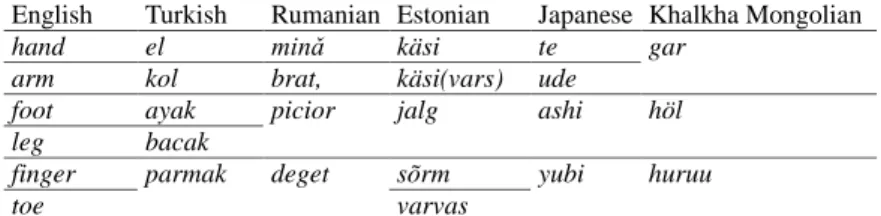 Table 1: Hand vs. arm, foot vs. leg, finger vs. toe in English, Italian, Rumanian, Estonian, Japanese  and Khalkha Mongolian