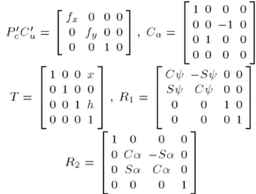 Fig. 4. Perspective projection of a 3 D line.