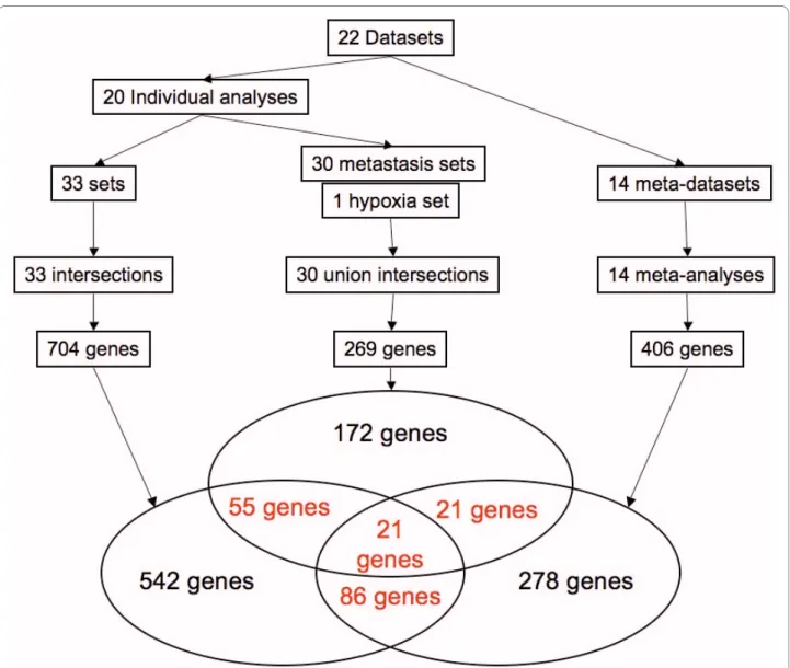 Figure 3 Summary of the methodology. The 22 datasets (or sub-datasets) were used to build several combinations in order to run intersections,  union intersections and meta-analyses
