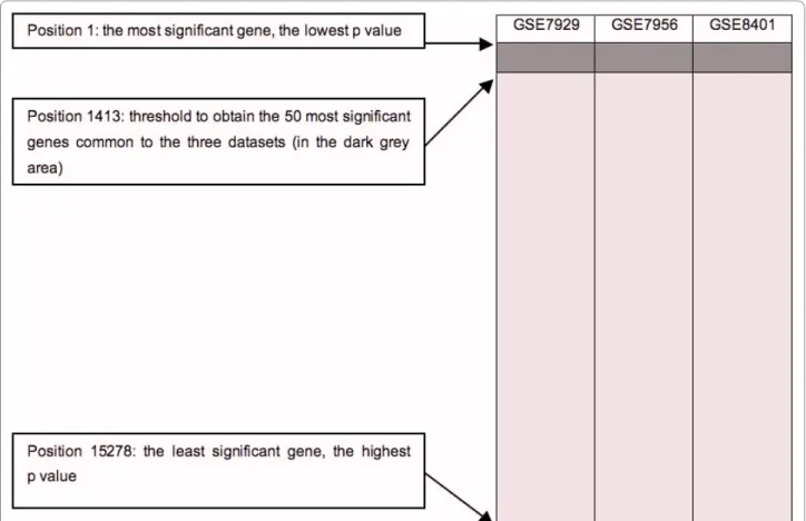 Figure 1 Example of an intersection. In each dataset, the probe sets were ranked in ascending order of the p values