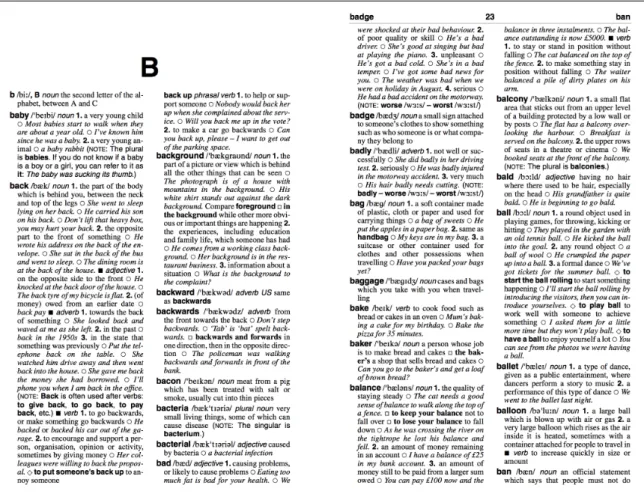 Fig. 10: Two pages from EEBD side by side