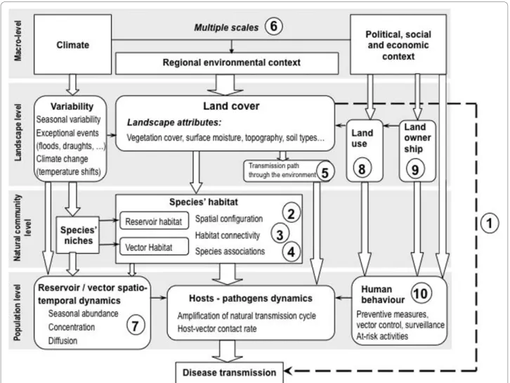 Figure 2 Graphical representation of the landscape determinants of disease transmission