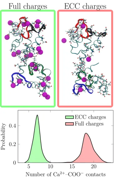 FIG. 5. On top, characteristic snapshots of CaM in solution with 50 mM of CaCl 2 . On the left side, the scaled CHARMM36 force field is used to account for ECC while on the right side, standard CHARMM36 force field is used