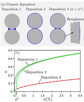 Figure 7. (a) Different depositions of the wetting liquid or cement. (b) Variations of the cemented contact radius α as a function of the cement content φ at different depositions.