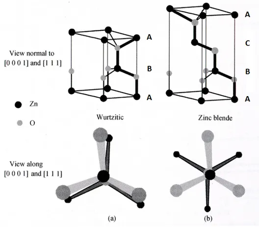 Figure 1.5 – Vue éclatée de la structure cristallographique de ZnO pour (a) une maille de type würtzite et (b) de type blende de zinc ; le haut de la figure montre une vue de profil alors que le bas présente une vue depuis le dessus de l’empilement [19]