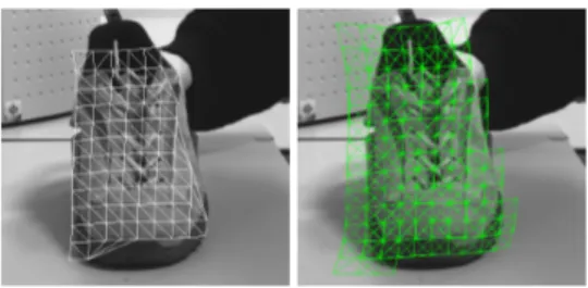 Figure 3: Patches selected in an old shoe image. left : the mesh - right : mesh and node patches.