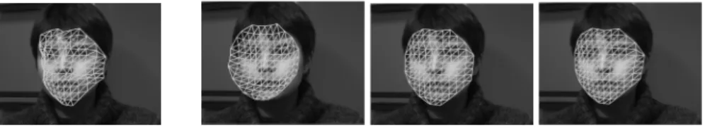 Figure 4: TPS fitting. left : without regularization - right with iterative regularization