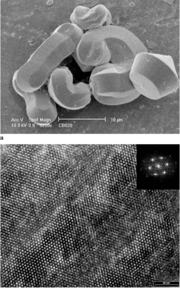 FIGURE 2 SEM (a) and TEM (b) images of the starting material and ZnO / mesoporous CMI-1 nanocomposite