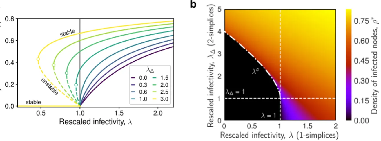 Figure 4: Phase diagram of the SCM of order D = 2 in mean field approximation. a The stationary solutions ρ ∗ given by Eq