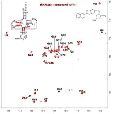 Figure 3. Superimposition of TROSY spectra of tRNA Lys 3  alone (0.3  mM) in black and tRNA Lys 3  mixed with compound 17f (0.3 mM) in red