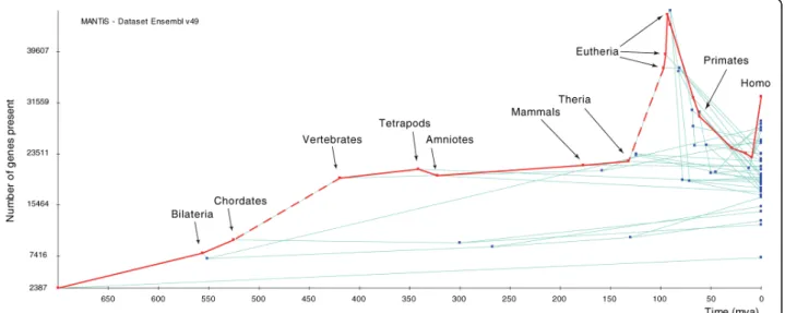 Figure 2 Increase of genome size through evolutionary time for all lineages of the tree in Figure 1
