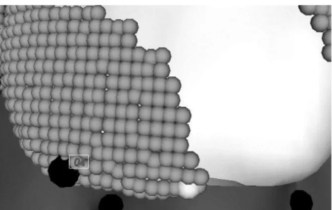 Figure 7. A subset of the  mesh  defined starting  from  a point to optimize (black sphere)  and including all successive K-th  neighbors (gray spheres) with K = 12