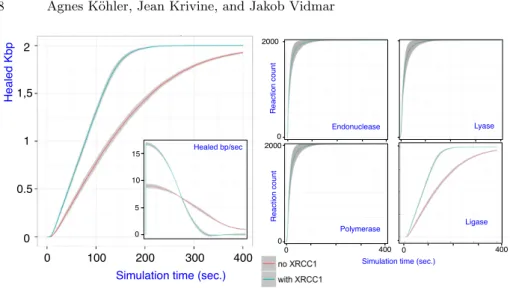 Fig. 5. (Left plot) Simulation efficiency with and without XRCC1, shadows indicate standard deviation