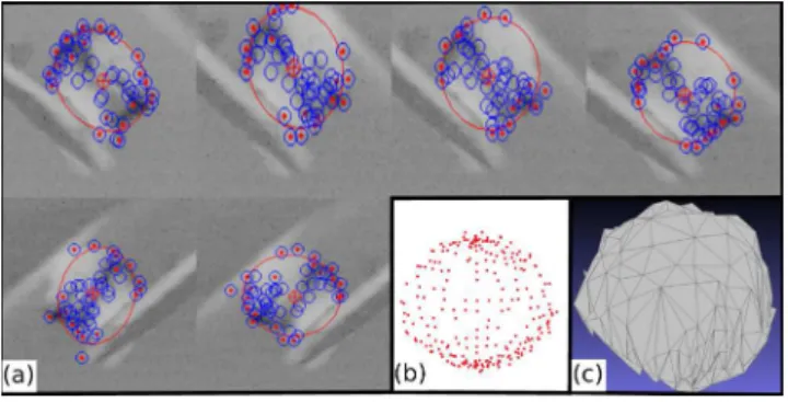 Fig. 17 3-D reconstruction of nano-ball of 900 nm diameter. (a) Some acquired frames and tracked points