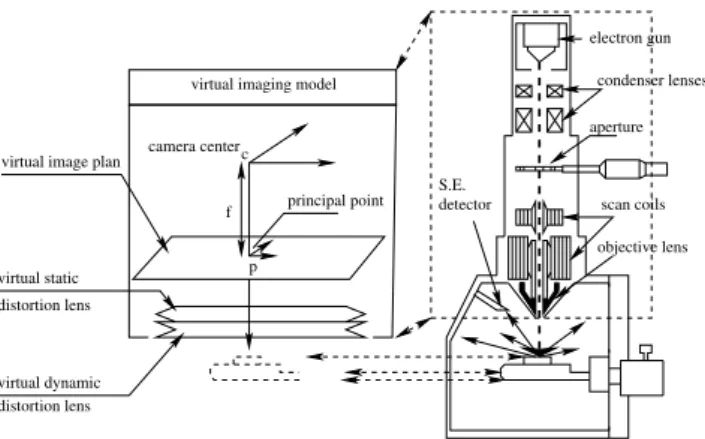 Fig. 3 The SEM and the corresponding modeling of the image acquisition process.