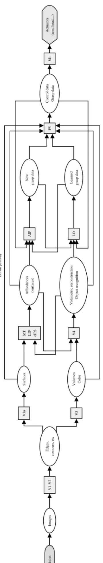 Fig. 7. Development of the grasping model from figure 2 using the FBA architecture.