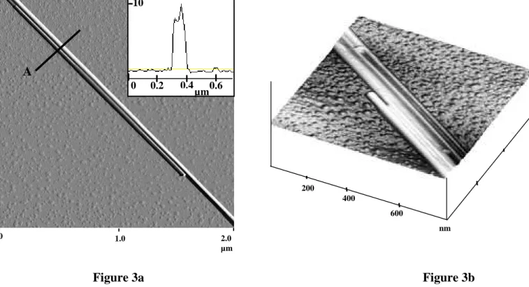 Figure 3b 200 400 600 nm Figure 3a 0 0.2 0.410 µm 0.6 0 2.0 µm A 1.0 