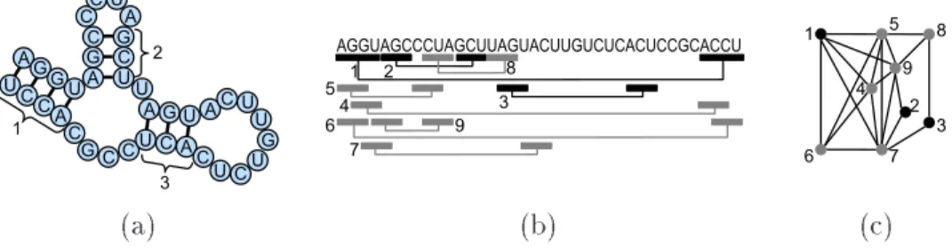 Figure 1: Helies in a RNA seondary struture (a) an b e mo deled as a set of balaned 2-