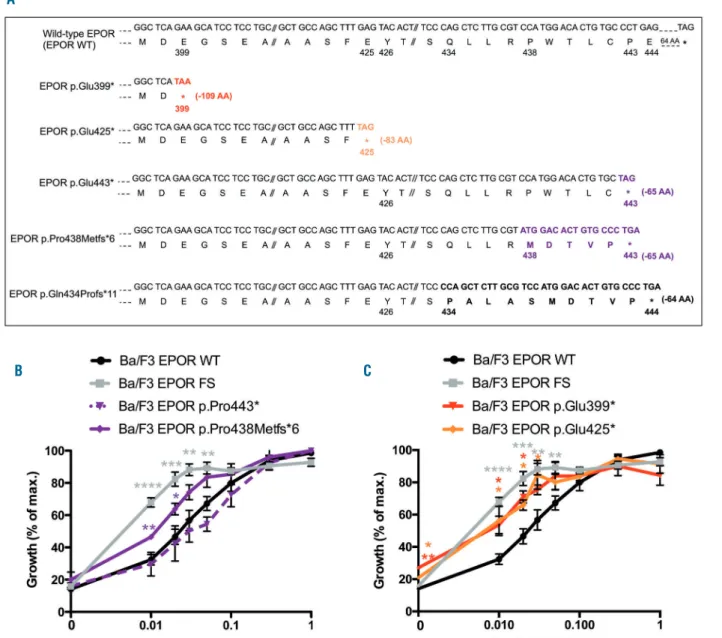 Figure 5. Different mechanisms are involved in the erythropoietin hypersensitivity phenotype of primary familial and congenital polycythemia depending on the type of EPOR mutation