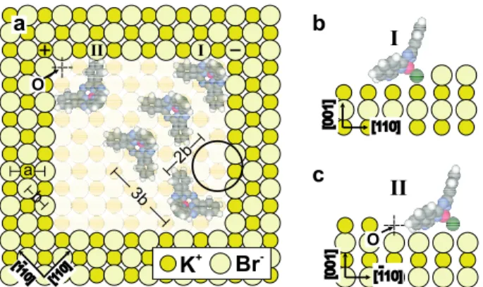 Figure 3: (a) Possible schematic arrangements of SubPc molecules inside a pit consisting of 10 × 10 × 1 missing ions