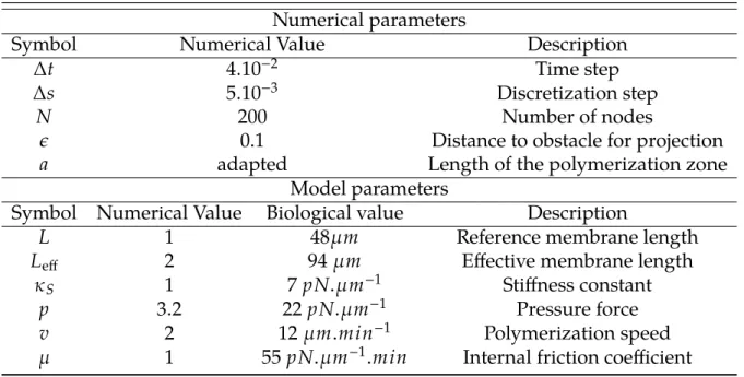 Table 1: Numerical and model parameters for the simulations of the paper.