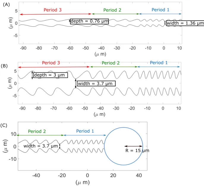Figure 7: Examples of the different obstacle geometries used in the simulations: we explore narrow obstacles of minimal width 1.36µm and ratchets of amplitude 0.76µm (A) or wide obstacles of width 3.7µm and ratchets of amplitude 3µm (B)