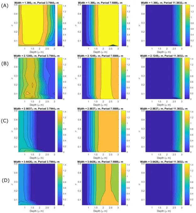 Figure 9: Average cell speeds (µm. min − 1 ) in channels of different minimal widths w 0 : 1.4µm (A), 2.2µm (B), 2.9µm (C) and 3.7µm (D)