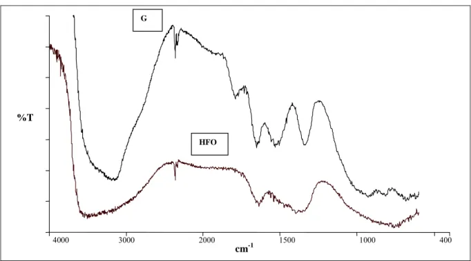 Figure 19 : Spectres IRTF obtenus pour la goethite et l'hydroxyde de fer amorphe. 
