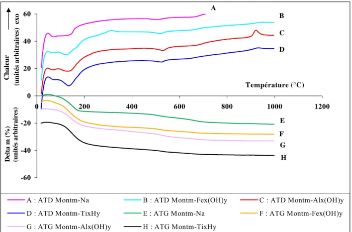 Figure 26 : Spectres ATD/ATG des argiles pontées et du précurseur. 