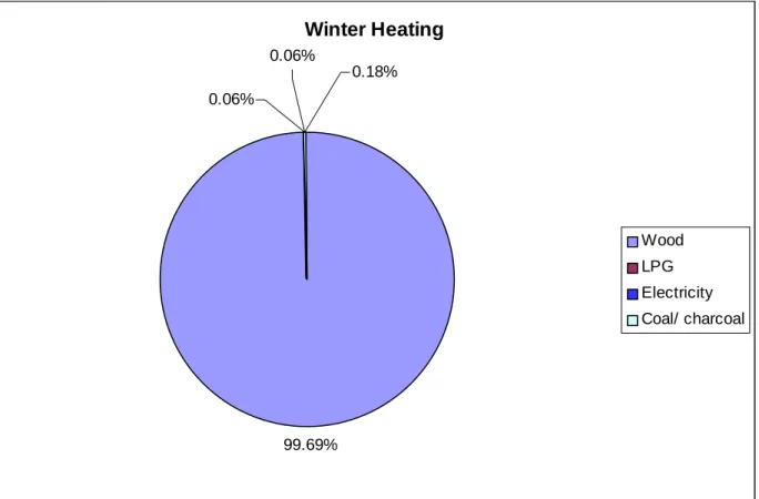 Figure 10 -  Primary Winter Heating Fuel Source in Himachal Pradesh (per cent households) 